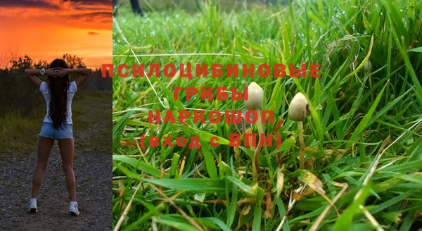 альфа пвп Богородицк