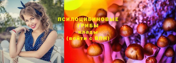 каннабис Богданович