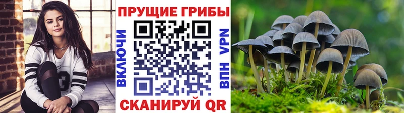 наркошоп  Мыски  Галлюциногенные грибы MAGIC MUSHROOMS 